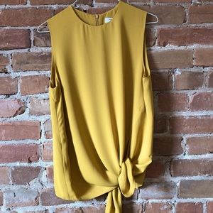 Aritzia sleeveless top / blouse